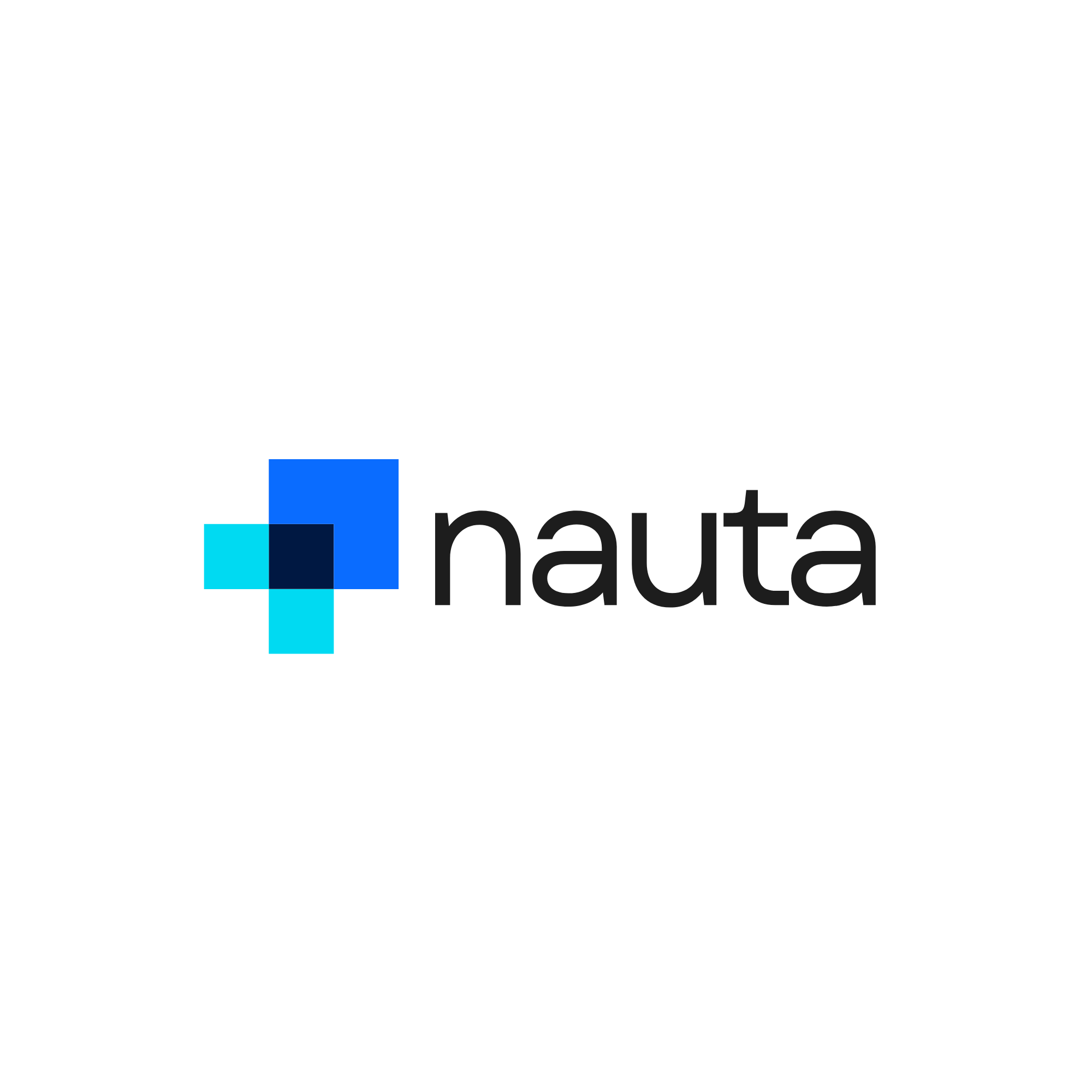 Logo de Nauta